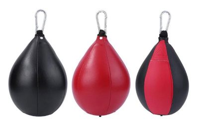 Why Train  with more than one Speed Bag ?